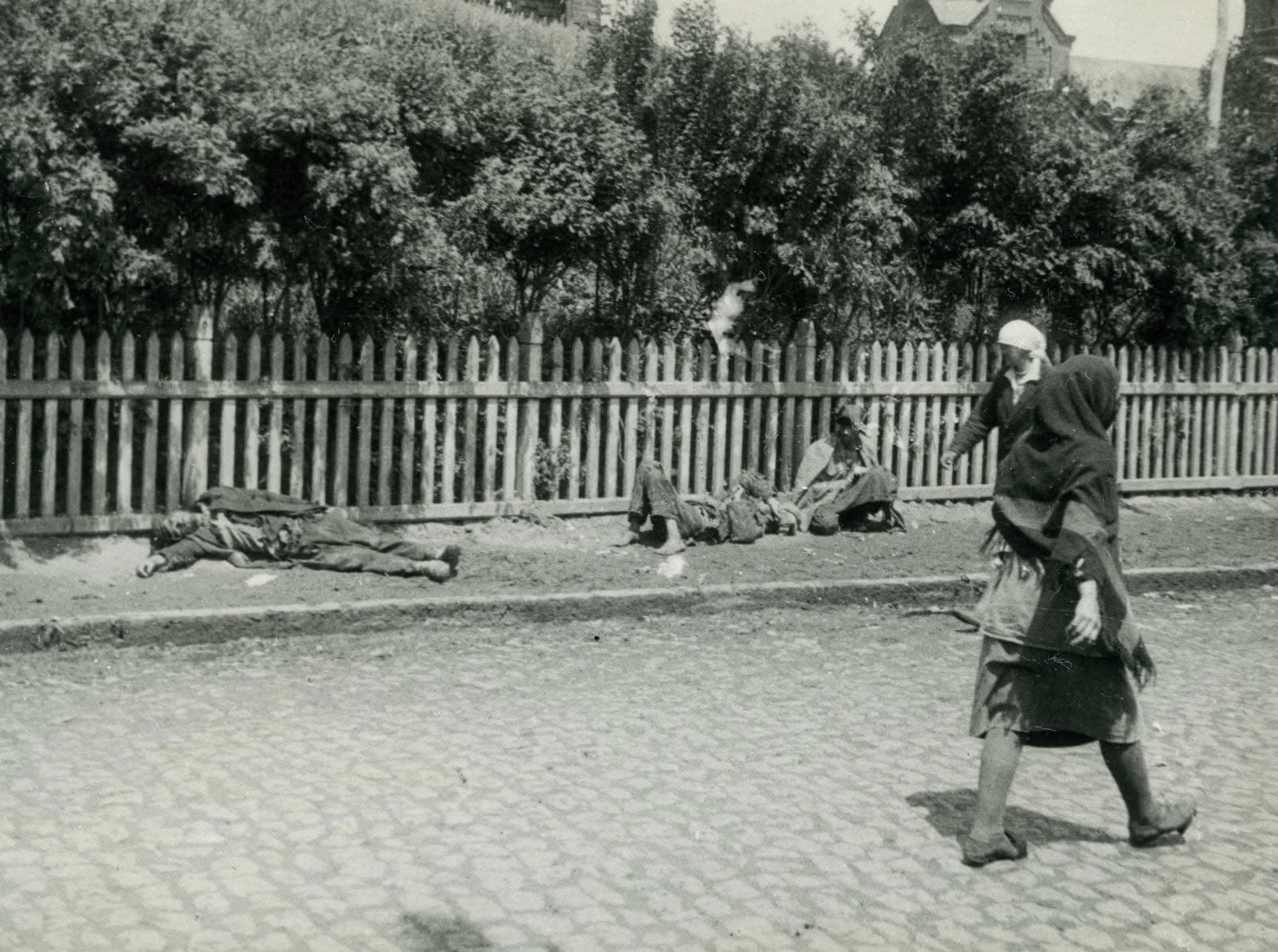 Afbeelding bij ‘Oekraïense genocide op herhaling’